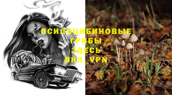 таблы Алексеевка
