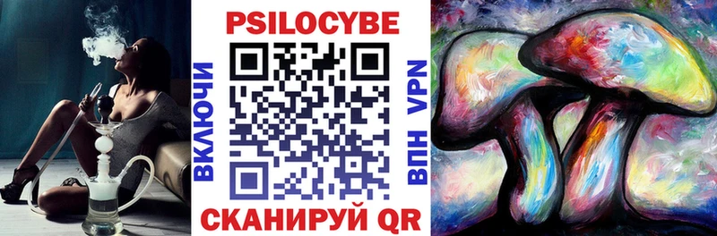 Псилоцибиновые грибы ЛСД  omg зеркало  Елизаветинская 