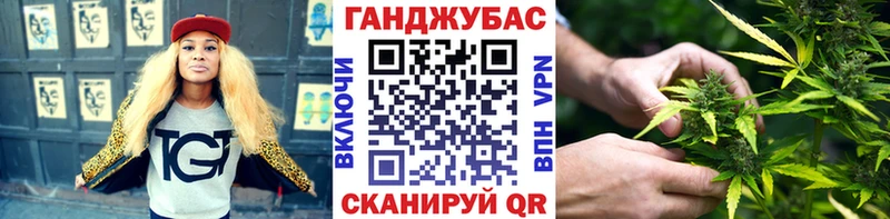 Марихуана сатива Елизаветинская